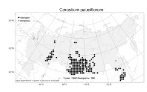 Cerastium pauciflorum Steven ex Ser., Atlas of the Russian Flora (FLORUS) (Russia)