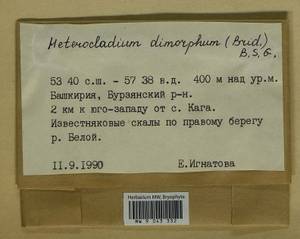 Heterocladiella dimorpha (Brid.) Ignatov & Fedosov, Bryophytes, Bryophytes - South Urals (B14) (Russia)