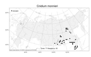 Cnidium monnieri (L.) Cusson, Atlas of the Russian Flora (FLORUS) (Russia)