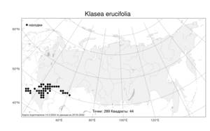 Klasea erucifolia (L.) Greuter & Wagenitz, Atlas of the Russian Flora (FLORUS) (Russia)