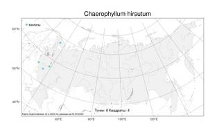 Chaerophyllum hirsutum L., Atlas of the Russian Flora (FLORUS) (Russia)