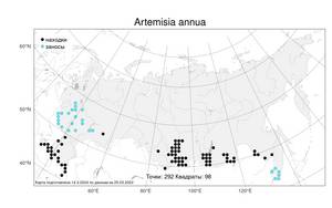Artemisia annua L., Atlas of the Russian Flora (FLORUS) (Russia)