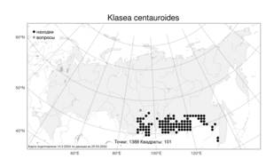 Klasea centauroides (L.) Cass., Atlas of the Russian Flora (FLORUS) (Russia)