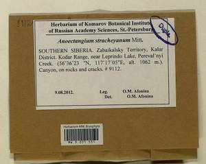 Anoectangium stracheyanum Mitt., Bryophytes, Bryophytes - Baikal & Transbaikal regions (B18) (Russia)