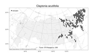 Claytonia acutifolia Pall. ex Willd., Atlas of the Russian Flora (FLORUS) (Russia)