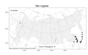 Ilex rugosa F. Schmidt, Atlas of the Russian Flora (FLORUS) (Russia)