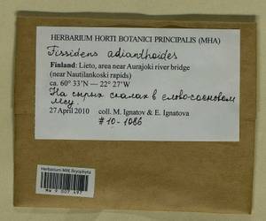 Fissidens adianthoides Hedw., Bryophytes, Bryophytes - Western Europe (BEu) (Finland)
