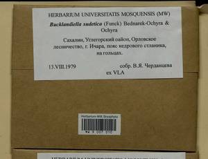 Bucklandiella sudetica (Funck) Bedn.-Ochyra & Ochyra, Bryophytes, Bryophytes - Russian Far East (excl. Chukotka & Kamchatka) (B20) (Russia)