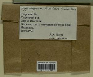 Hygrohypnum luridum (Hedw.) Jenn., Bryophytes, Bryophytes - Middle Russia (B6) (Russia)