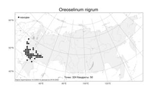 Oreoselinum nigrum Delarbre, Atlas of the Russian Flora (FLORUS) (Russia)