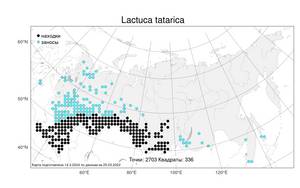 Lactuca tatarica (L.) C. A. Mey., Atlas of the Russian Flora (FLORUS) (Russia)