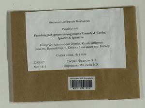 Pseudohygrohypnum subeugyrium (Renauld & Cardot) Ignatov & Ignatova, Bryophytes, Bryophytes - Krasnoyarsk Krai, Tyva & Khakassia (B17) (Russia)