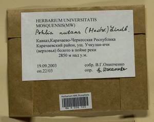 Pohlia nutans (Hedw.) Lindb., Bryophytes, Bryophytes - North Caucasus & Ciscaucasia (B12) (Russia)