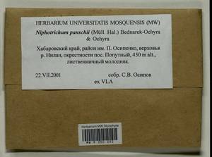 Niphotrichum panschii (Müll. Hal.) Bedn.-Ochyra & Ochyra, Bryophytes, Bryophytes - Russian Far East (excl. Chukotka & Kamchatka) (B20) (Russia)