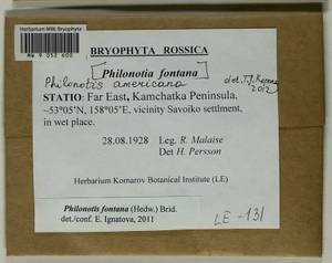 Philonotis americana Dism., Bryophytes, Bryophytes - Chukotka & Kamchatka (B21) (Russia)