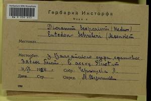 Pleurozium schreberi (Willd. ex Brid.) Mitt., Bryophytes, Bryophytes - Middle Russia (B6) (Russia)
