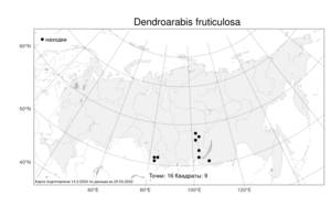 Dendroarabis fruticulosa (C.A.Mey.) D.A.German & Al-Shehbaz, Atlas of the Russian Flora (FLORUS) (Russia)