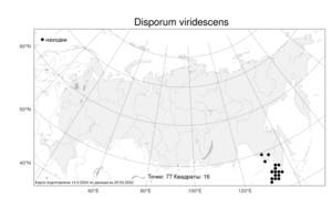 Disporum viridescens (Maxim.) Nakai, Atlas of the Russian Flora (FLORUS) (Russia)