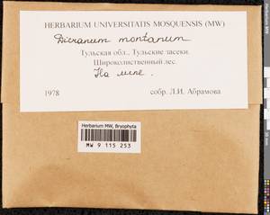 Orthodicranum montanum (Hedw.) Loeske, Bryophytes, Bryophytes - Middle Russia (B6) (Russia)