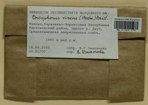 Oncophorus virens (Hedw.) Brid., Bryophytes, Bryophytes - North Caucasus & Ciscaucasia (B12) (Russia)