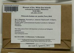 Philonotis fontana (Hedw.) Brid., Bryophytes, Bryophytes - Karelia, Leningrad & Murmansk Oblasts (B4) (Russia)