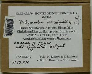 Didymodon icmadophilus (Schimp. ex Müll. Hal.) K. Saito, Bryophytes, Bryophytes - Western Siberia (including Altai) (B15) (Russia)