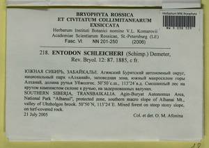 Entodon schleicheri (Schimp.) Demet., Bryophytes, Bryophytes - Baikal & Transbaikal regions (B18) (Russia)