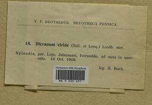 Dicranum viride (Sull. & Lesq.) Lindb., Bryophytes, Bryophytes - Western Europe (BEu) (Finland)