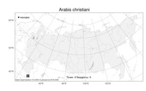 Arabis christiani N.Busch, Atlas of the Russian Flora (FLORUS) (Russia)