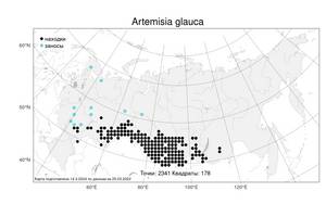 Artemisia glauca Pall. ex Willd., Atlas of the Russian Flora (FLORUS) (Russia)