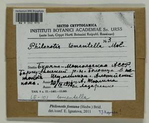 Philonotis fontana (Hedw.) Brid., Bryophytes, Bryophytes - Baikal & Transbaikal regions (B18) (Russia)