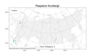 Paspalum thunbergii Kunth, Atlas of the Russian Flora (FLORUS) (Russia)