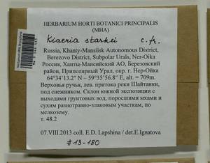 Arctoa starkei (F. Weber & D. Mohr) Loeske, Bryophytes, Bryophytes - Western Siberia (including Altai) (B15) (Russia)