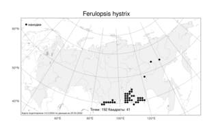 Ferulopsis hystrix (Bunge ex Ledeb.) Pimenov, Atlas of the Russian Flora (FLORUS) (Russia)