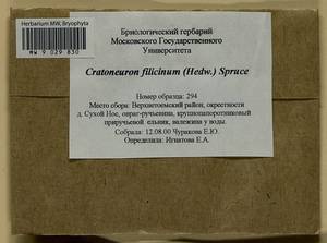 Cratoneuron filicinum (Hedw.) Spruce, Bryophytes, Bryophytes - European North East (B7) (Russia)