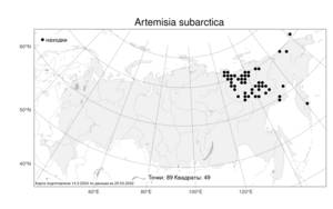 Artemisia subarctica Krasch., Atlas of the Russian Flora (FLORUS) (Russia)