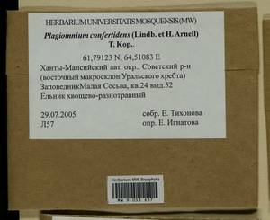 Plagiomnium confertidens (Lindb. & Arnell) T.J. Kop., Bryophytes, Bryophytes - Western Siberia (including Altai) (B15) (Russia)