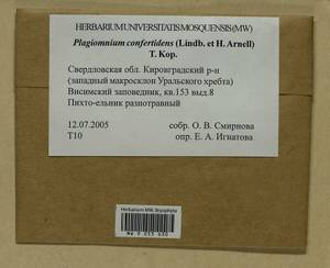 Plagiomnium confertidens (Lindb. & Arnell) T.J. Kop., Bryophytes, Bryophytes - Permsky Krai, Udmurt Republic, Sverdlovsk & Kirov Oblasts (B8) (Russia)