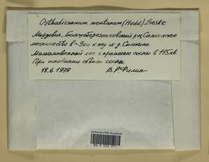 Orthodicranum montanum (Hedw.) Loeske, Bryophytes, Bryophytes - Middle Volga (B9) (Russia)