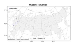 Myosotis lithuanica (Schmalh.) Besser ex Dobrocz., Atlas of the Russian Flora (FLORUS) (Russia)