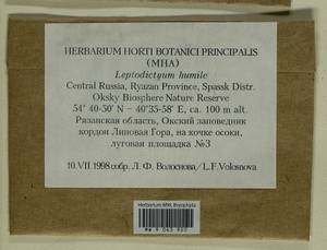 Hygroamblystegium humile (P. Beauv.) Vanderp., Hedenäs & Goffinet, Bryophytes, Bryophytes - Middle Russia (B6) (Russia)