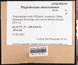 Plagiothecium obtusissimum Broth., Bryophytes, Bryophytes - Russian Far East (excl. Chukotka & Kamchatka) (B20) (Russia)