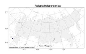 Fallopia baldschuanica (Regel) Holub, Atlas of the Russian Flora (FLORUS) (Russia)