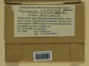 Plagiomnium confertidens (Lindb. & Arnell) T.J. Kop., Bryophytes, Bryophytes - Russian Far East (excl. Chukotka & Kamchatka) (B20) (Russia)