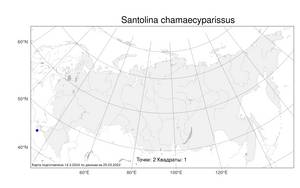 Santolina chamaecyparissus L., Atlas of the Russian Flora (FLORUS) (Russia)