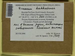 Dicranum viride var. hakkodense (Cardot) Takaki, Bryophytes, Bryophytes - Russian Far East (excl. Chukotka & Kamchatka) (B20) (Russia)