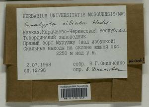 Encalypta microstoma Bals.-Criv. & De Not., Bryophytes, Bryophytes - North Caucasus & Ciscaucasia (B12) (Russia)