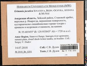 Grimmia jacutica Ignatova, Bedn.-Ochyra, Afonina & J. Muñoz, Bryophytes, Bryophytes - Russian Far East (excl. Chukotka & Kamchatka) (B20) (Russia)