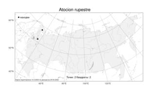 Atocion rupestre (L.) Oxelman, Atlas of the Russian Flora (FLORUS) (Russia)