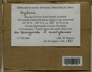 Bryhnia, Bryophytes, Bryophytes - Russian Far East (excl. Chukotka & Kamchatka) (B20) (Russia)